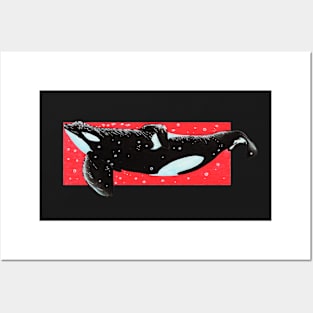 Color Series - Tilikum Posters and Art